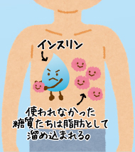 インスリンが使われなかった糖質たちは脂肪としてため込まれる。