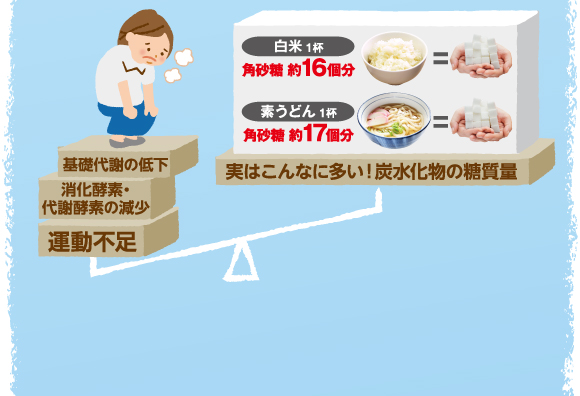 代謝(燃焼)と糖質摂取のバランスが大切。基礎代謝の低下、消化酵素・代謝酵素の減少、運動不足。実はこんなに多い！炭水化物の糖質量