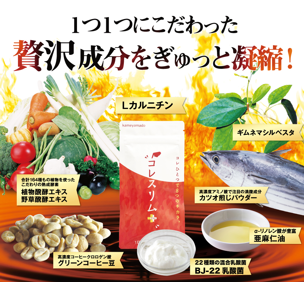 燃えるだけで終わらない!Lカルニチン、植物発酵エキス野草発酵エキス、ギムネマシルベスタカツオ煎じパウダー