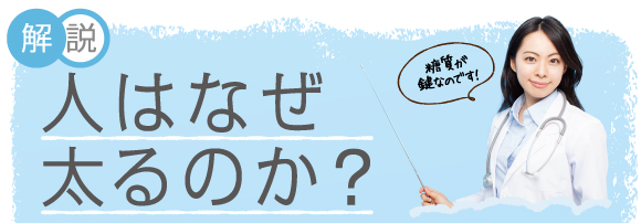 解説。人はなぜ太るのか？糖質が鍵なのです！