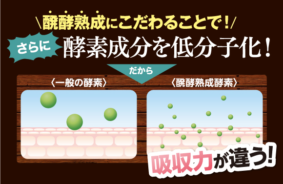 醗酵熟成にこだわることで！さらに酵素成分を低分子化。だから吸収力が違う！