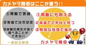 カメヤマ酵母は普通の酵母とここが違う