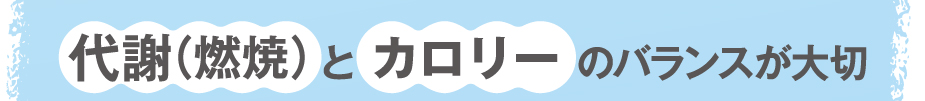 代謝(燃焼)とカロリーのバランスが大切