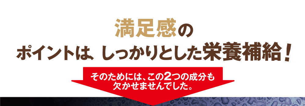 満足感のポイントはしっかりとした栄養補給