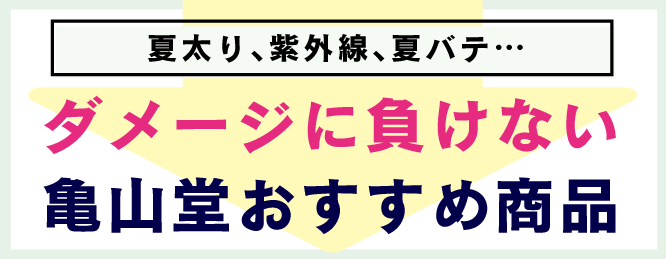 みんなが選んだ人気商品トップ3