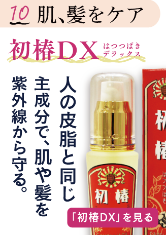 初椿DX
