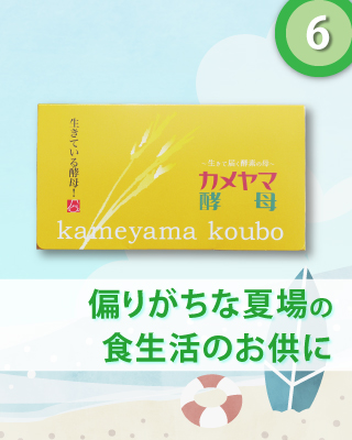 カメヤマ酵母