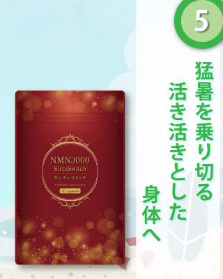 NMN3000