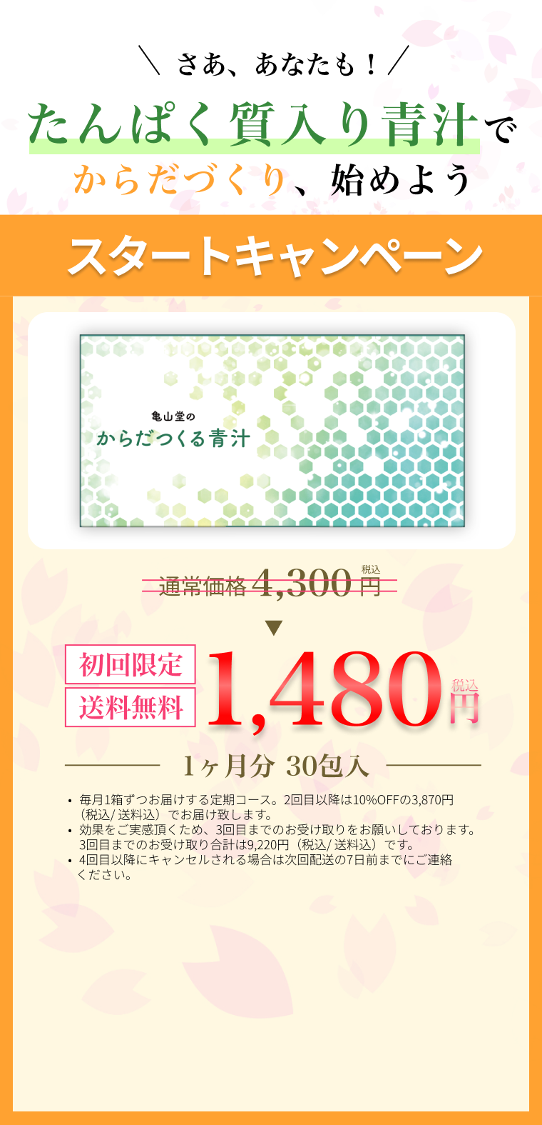 からだつくる青汁初回特別価格
