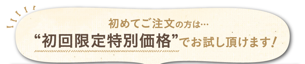 初めてご注文の方は・・・初回限定特別価格でお試し頂けます！