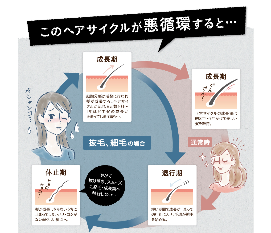 このヘアサイクルが悪循環すると・・・