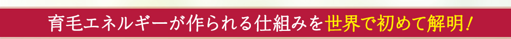 育毛エネルギーが作られる仕組みを背j会で初めて解明！