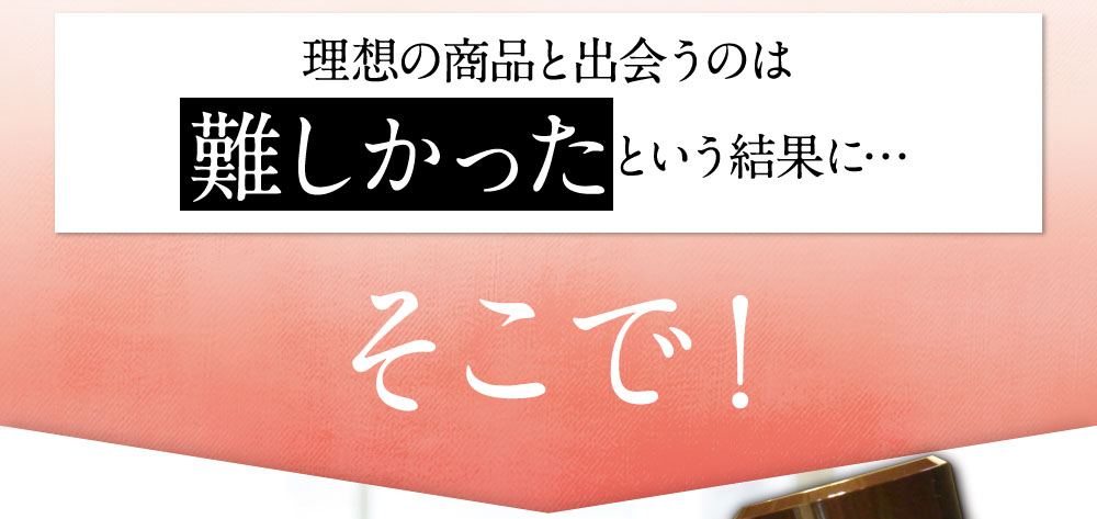 理想の商品と出会うのは難しかったという結果に…そこで