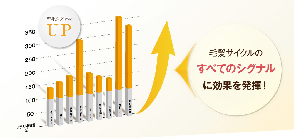 育毛サイクルにかかわるすべてのシグナルに効果を発揮。