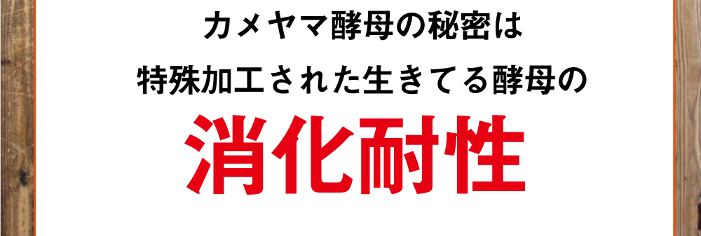 カメヤマ酵母の秘密は特殊加工された生きてる酵母の消化耐性