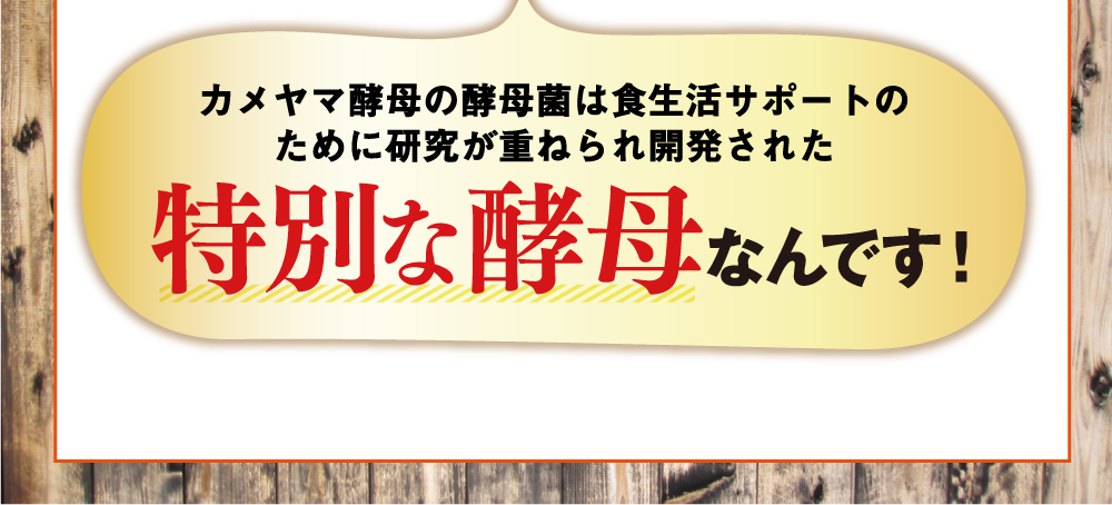 カメヤマ酵母の酵母菌は食生活サポートのために研究が重ねられ開発された特別な酵母なんです！