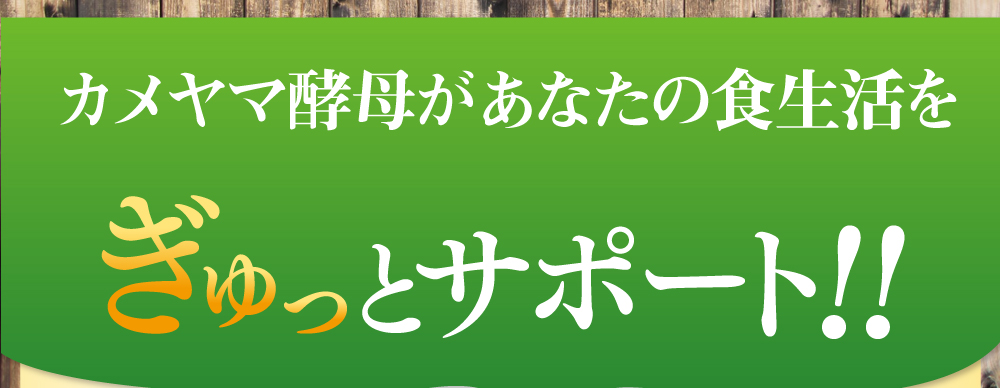 カメヤマ酵母があなたの食生活をぎゅっとサポート