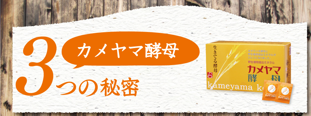 カメヤマ酵母3つの秘密