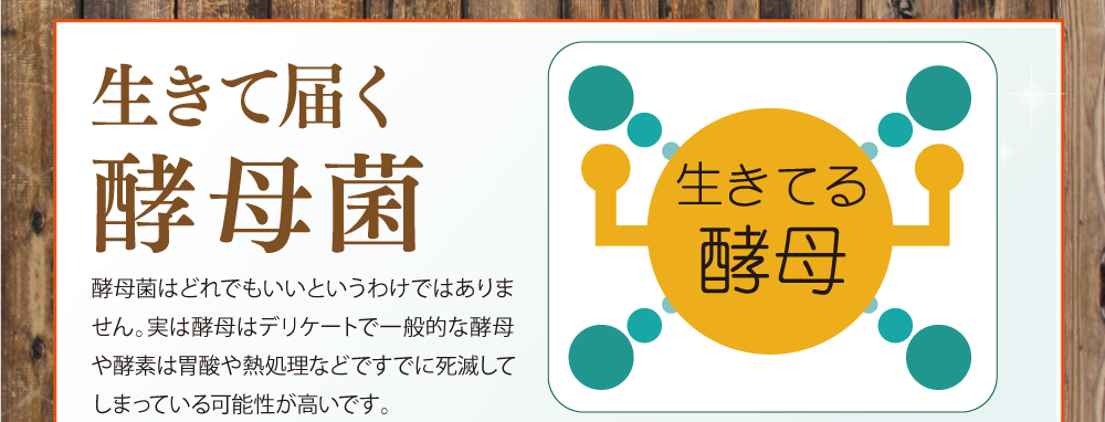 生きて届く酵母菌。酵母菌はどれでもいいというわけではありません。実は酵母はデリケートで一般的な酵母や酵素は胃酸や熱処理などですでに死滅してしまっている可能性が高いです。