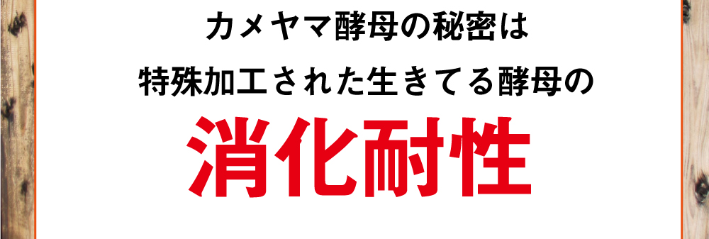 カメヤマ酵母の秘密は特殊加工された生きてる酵母の消化耐性