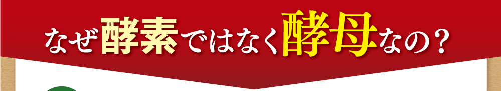なぜ酵素ではなく酵母なの？