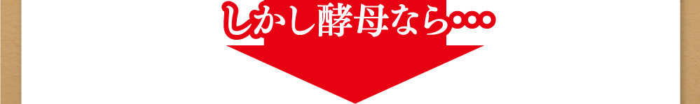 しかし酵母なら・・・
