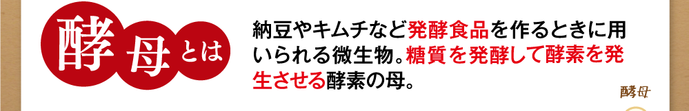酵母とは納豆やキムチなど発酵食品を作るときに用いられる微生物。糖質や脂質を発酵分解して酵素を発生させる酵素の母。
