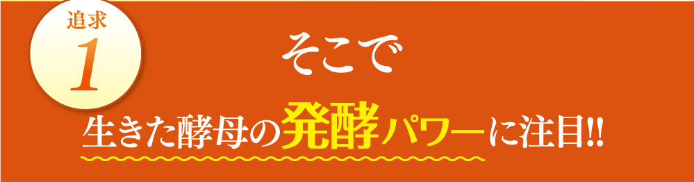 追求1生きた酵母の発酵パワーに注目！！