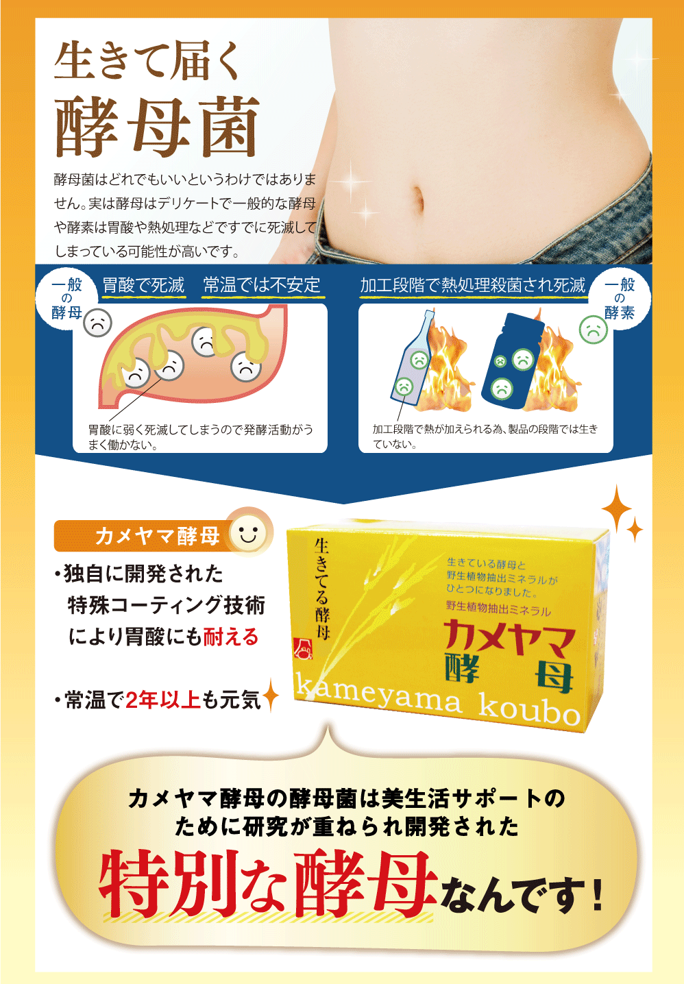 生きて腸まで届く酵母菌
