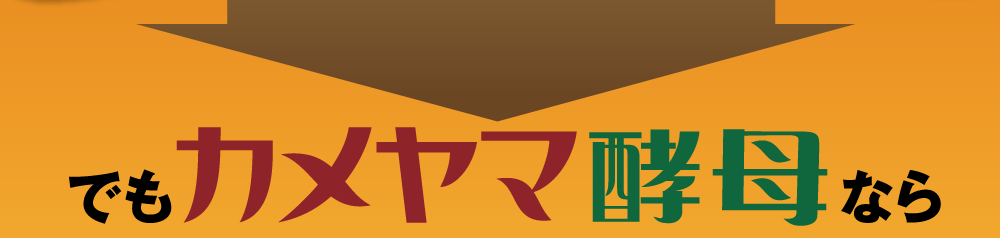 でもカメヤマ酵母なら