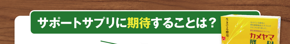 サポートサプリに期待することは？