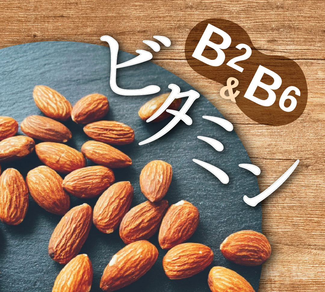 ビタミンB2B6