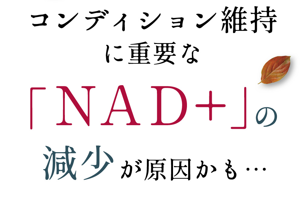 コンディション維持に重要な「NAD＋」の減少が原因かも