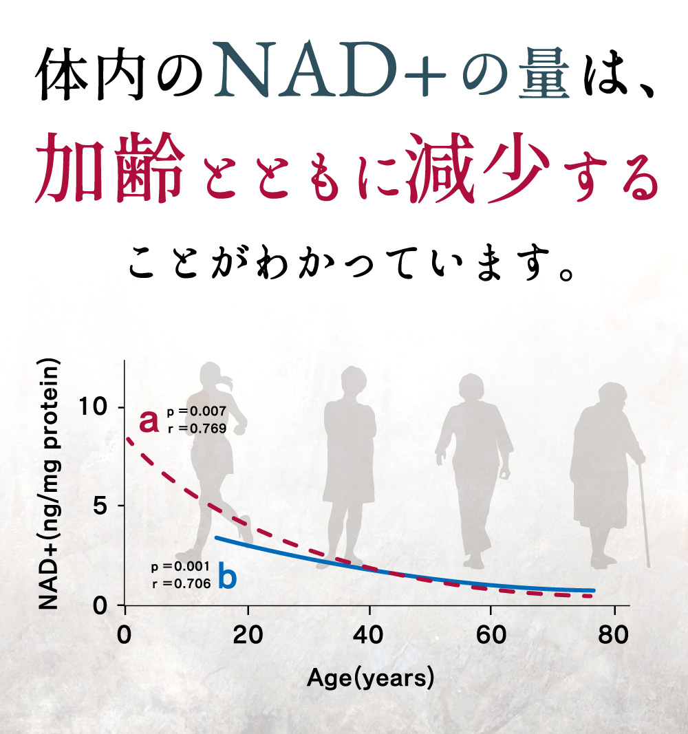 体内のNADの量は、加齢とともに減少することがわかっています。