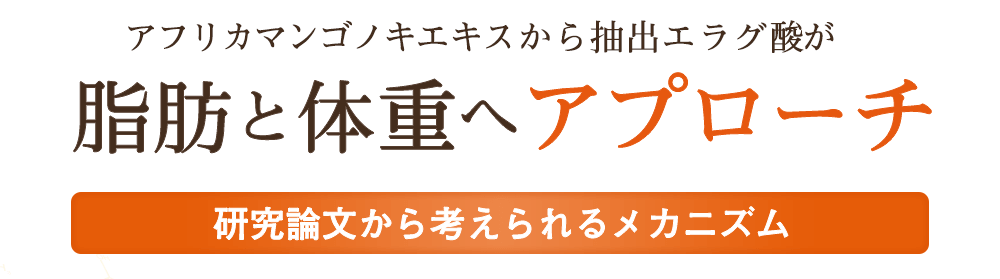 エラグ酸1%含有アフリカマンゴノキエキスが脂肪と体重へアプローチ。研究論文から考えられるメカニズム