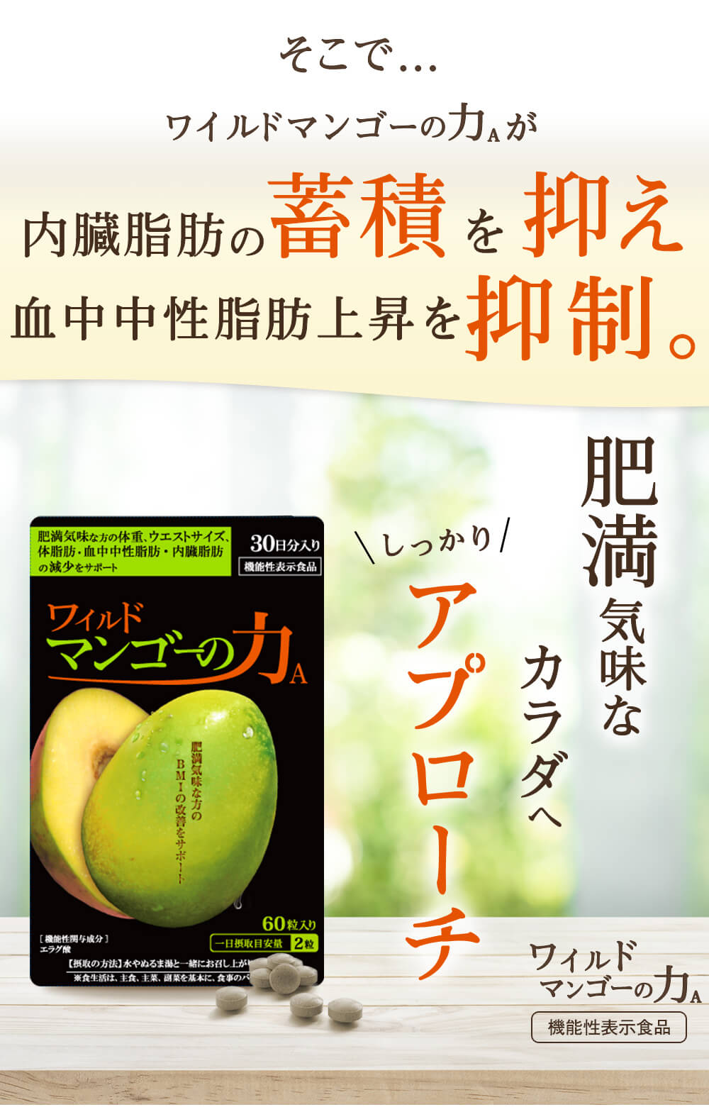 そこでワイルドマンゴーの力が脂肪の蓄積を抑え中性脂肪上昇を抑制。肥満気味な体へしっかりアプローチ。