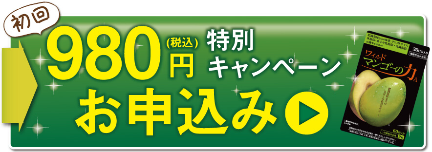 初回980円特別キャンペーン申し込み