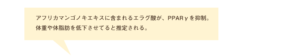 アフリカマンゴノキエキスに含まれるエラグ酸が、PPARγを抑制。体重や体脂肪を低下させてると推定される。