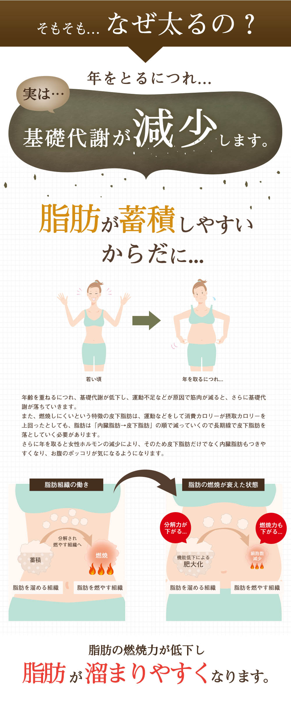 あんぜ太るの？年を取るにつれ・・・実はきそたいしゃが減少します。脂肪が蓄積しやすい体に・・・年齢を重ねるにつれてきそたいしゃが低下し、運動不足などが原因で筋肉が減ると、さらに基礎代謝が落ちていきます。脂肪の燃焼力が低下する事で脂肪がたまりやすくなるのです。