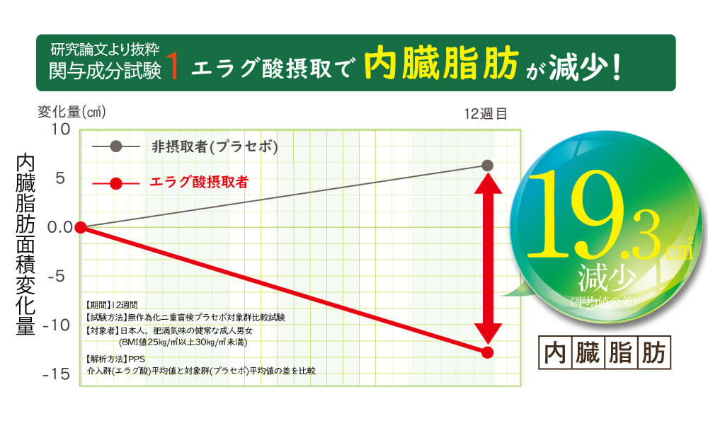 内臓脂肪19.3㎠減少