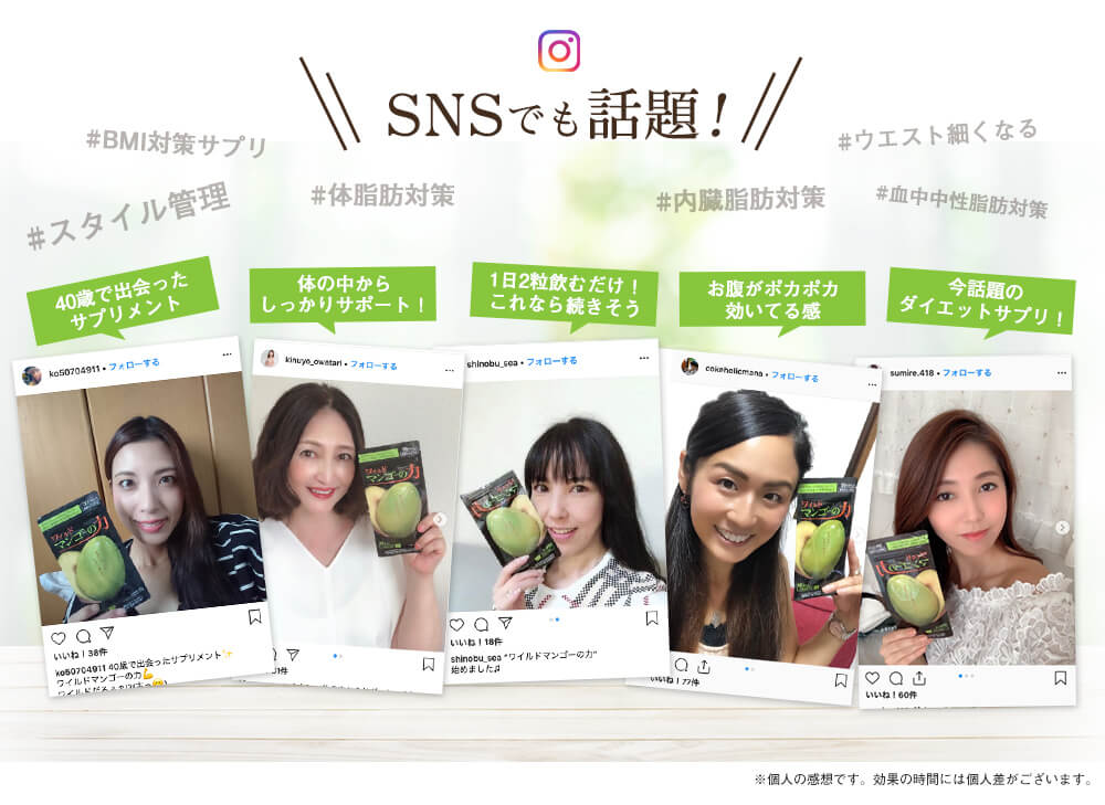 SNSでも話題。BMI対策サプリ、内臓脂肪、体脂肪対策、スタイル管理、ウエスト細くなる、血中中性脂肪対策