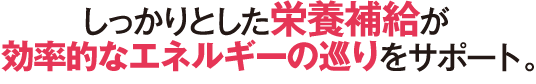 しっかりとした栄養補給が効率的なエネルギーの巡りをサポート