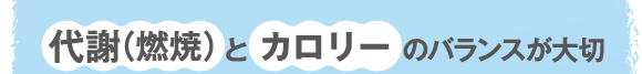 代謝(燃焼）とカロリーのバランスが大切