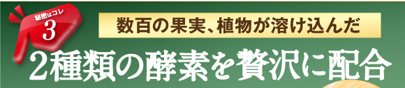 数百の果実、植物が溶け込んだ、2種類の酵素を贅沢に配合