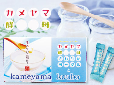 カメヤマ酵母ヨーグルト味