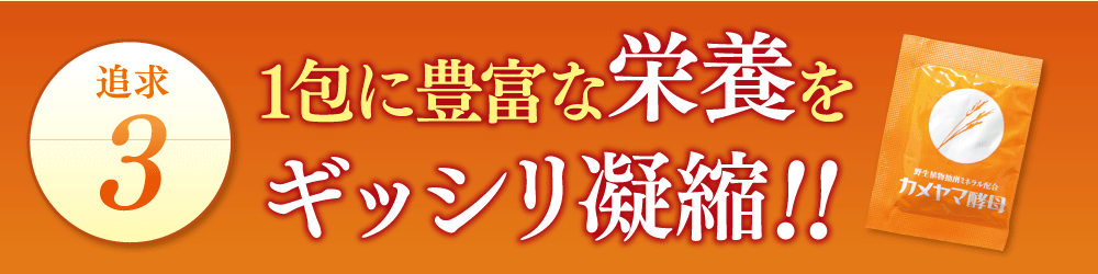 追求31法に豊富な栄養をぎっしり凝縮！！