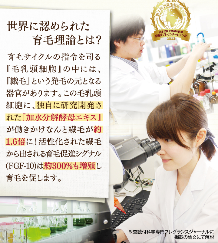 世界に認められた育毛理論とは？発毛サイクルの指令を司る「毛乳頭細胞」の中には「繊毛という発毛のもととなる期間があります。この毛乳頭細胞に、独自に研究開発された「加水分解酵母エキス」が働きかけなんと繊毛が約1.6倍に！活性化された繊毛から出される育毛促進グル（FGF-10) は約300%も増殖し育毛を促します。