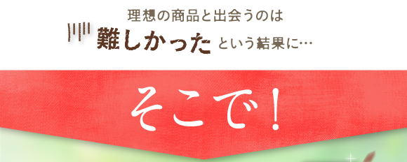 理想の商品と出会うのは難しかったという結果に。そこで
