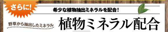 さらに、希少な植物抽出ミネラルを配合!