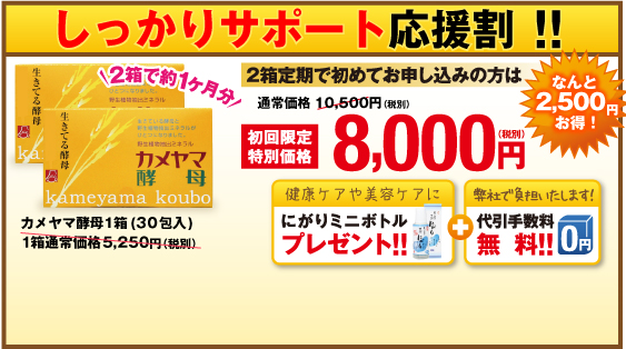 ダイエットスタート応援キャンペーン定期2箱購入